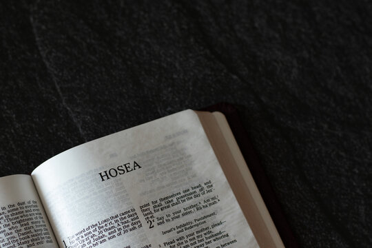 Open Holy Bible Book Hosea prophet from Old Testament on dark granite background. A Christian biblical concept of reading and studying the Scriptures from God Jesus Christ. Top view.