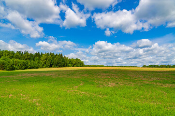 large field with mixed forest in the distance and beautiful clouds on a sunny summer day.