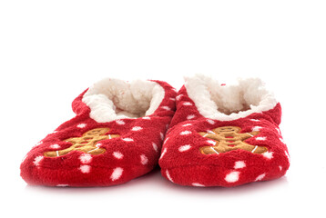 fur-lined slippers in studio