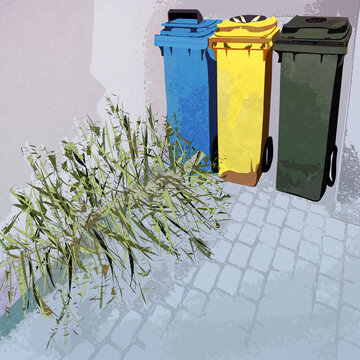 Trzy plastikowe śmietniki  niebieski zielony żółty stojące w zaułku wyrzucona po świętach uschła choinka