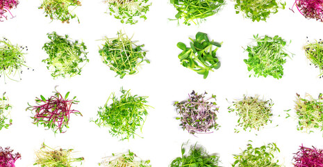 Pattern of different microgreens on a white background. Selective focus.