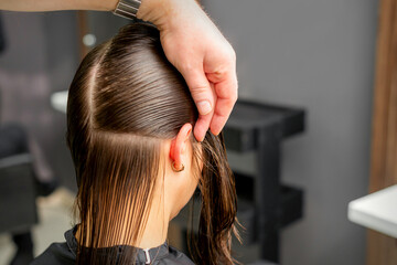Naklejka premium Hairdresser divides female hair into sections with comb holding hair with her hands in hair salon close up