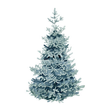 recommend clip art: Watercolor Christmas spruce fir tree clip art illustration