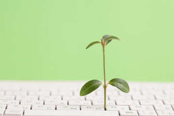 Green information technology. Environmentally Sustainable IT. Copy space. Green plant growing,...