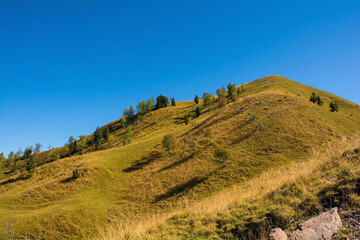 The slopes of Monte Morgenleit near Sauris di Sopra, Udine Province, Friuli-Venezia Giulia, north east Italy. Late September
