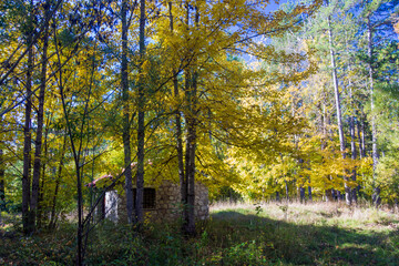House in the woods in Abruzzo in autumn. Foliage and colors of trees.