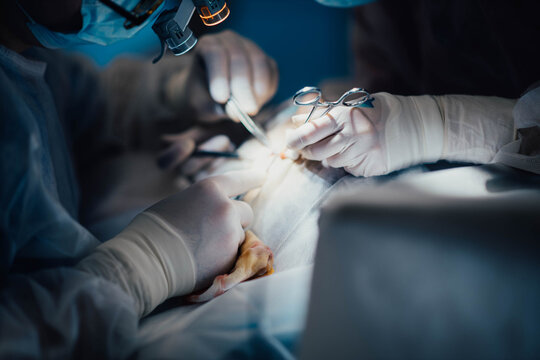 teamwork of surgeons in the operating room, hands in a glove close-up with surgical instruments.