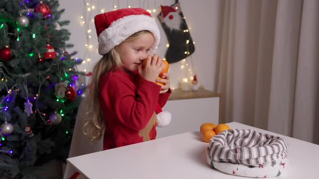 Portrait of funny kid in red santa's hat holding in hands oranges on the background of christmas tree. Happy little girl smiling and having fun on winter holidays at cozy decorated home.