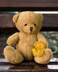 Teddy bear with a flower. Expectation and loneliness.