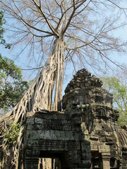 Obraz premium Temple Angkor Thom-Cambodge.