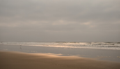 Horsfall Beach, Oregon