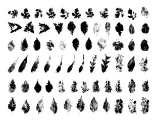 Collection of traced leaves. Black prints of foliage. Vector design elements isolated on a white background.