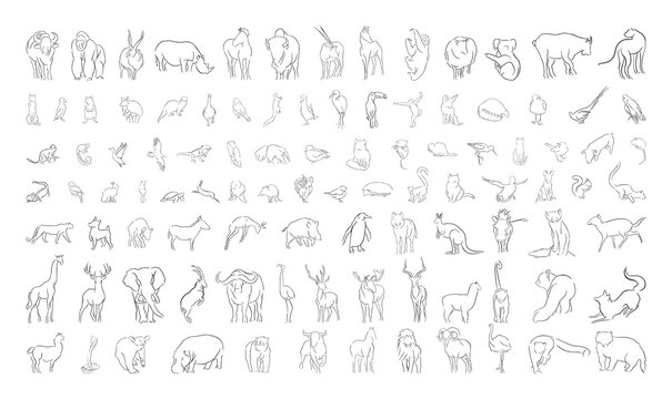Vector set of animals in a linear style. Illustrations for creating coloring pages, prints.