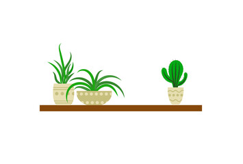 Home Plants Set on a Shelf Isolated on White Background, Icons, Plants in Pots.