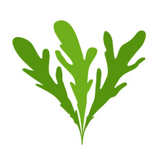 Fototapeta premium Green arugula salad silhouette on a white background for design, logo and icon