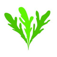 Green arugula salad silhouette on a white background for design, logo and icon