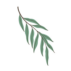 Willow branch. Illustration of green twig with leaves. Flat vector illustration. © Lili Kudrili