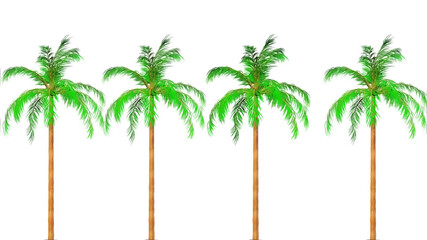 Obraz premium Queen Palm Botanical 3D Rendering