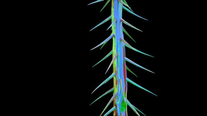 Yellow Cypress Tree Botanical 3D Rendering