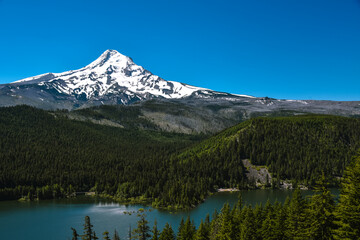 Laurence Lake Ridge Hike In Mt. Hood Oregon 