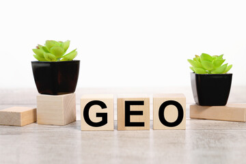 GEO WORD. text on wooden blocks on a wooden background
