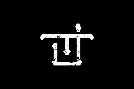 Vintage Initial Letters JT Logo