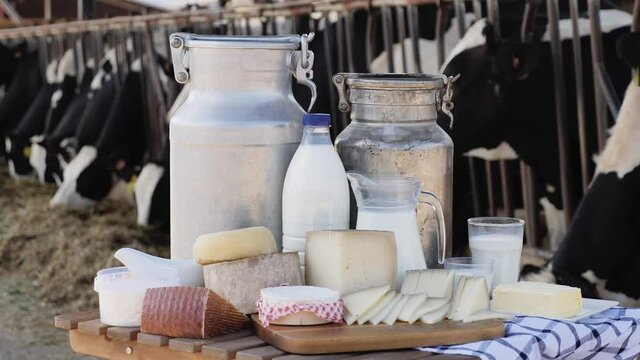 Image of fresh delicious farm dairy production laid out on the table the background with cows. 