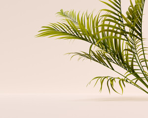Tropical leaves in empty room - minimal object placement background, palm branch foliage, 3d rendering
