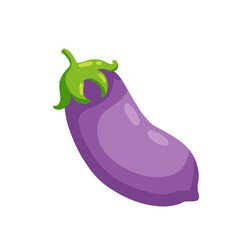 Eggplant. Purple vegetable. Natural vegan food.