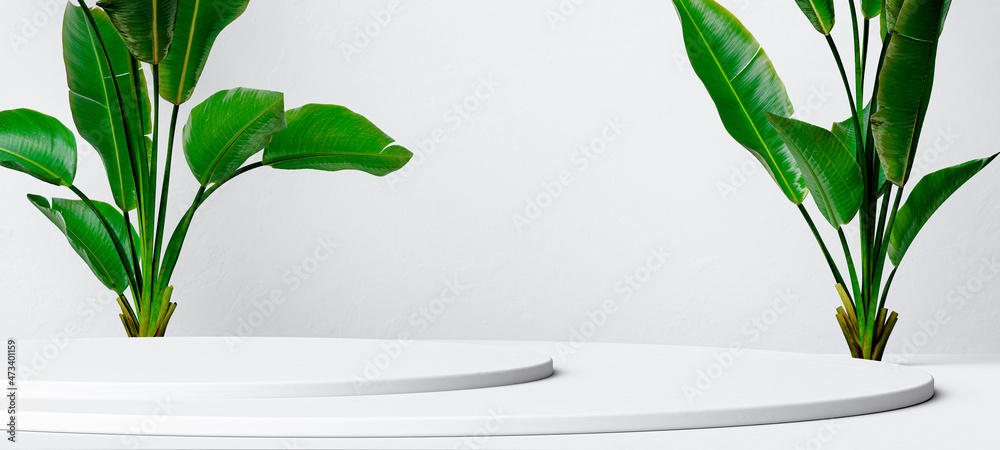 Canvas Prints Banana plant minimalist object placement scene for cosmetic product display, tropical leaves in white scene for packaging design template, 3d rendering