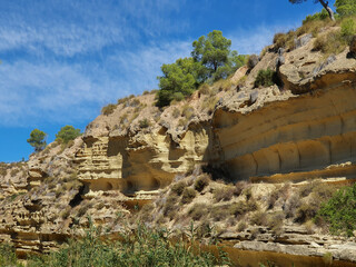 Vega Baja del Segura - Pilar de la Horadada - Paraje Natural Río Seco