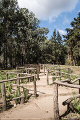 A wooden fence in a forest. 