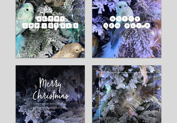 Social Layouts with Christmas Decoration Backgrounds