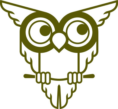 Owl, Coruja, Mistic, Good Luck, Bird, Spell, Big Eyes, Eye