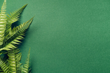 Emerald green background with artificial fern leaves. Top view with copy space
