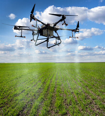 agrodrone in a field with rows of winter wheat sprouts, the concept of modern agriculture