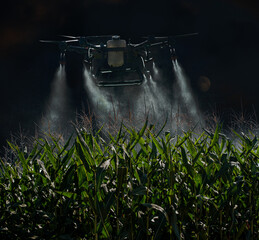 a large agricultural drone sprays a corn field at night time, the concept of modern agriculture