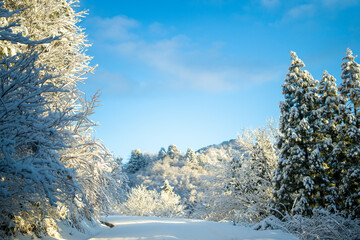 富山県中新川郡上市町と立山町にある大辻山を登山する風景 A view of...