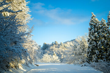 富山県中新川郡上市町と立山町にある大辻山を登山する風景 A view of climbing Mt. Otsuji in Kamiichi-cho and Tateyama-cho, Nakashinagawa-gun, Toyama Prefecture.