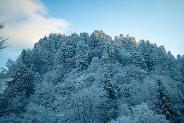 富山県中新川郡上市町と立山町にある大辻山を登山する風景 A view of climbing Mt. Otsuji in Kamiichi-cho and Tateyama-cho, Nakashinagawa-gun, Toyama Prefecture.