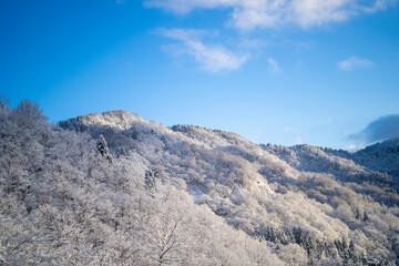 富山県中新川郡上市町と立山町にある大辻山を登山する風景 A view of climbing Mt. Otsuji in Kamiichi-cho and Tateyama-cho, Nakashinagawa-gun, Toyama Prefecture.