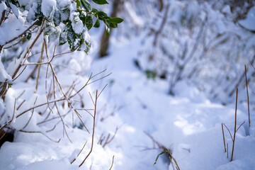 富山県中新川郡上市町と立山町にある大辻山周辺の雪が積もった風景をドローンで撮影 Drone photography of the snow-covered landscape around Mt. Otsuji in Kamiichi-cho and Tateyama-cho, Nakaniikawa-gun, Toyama Prefecture.