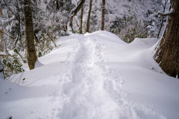 富山県中新川郡上市町と立山町にある大辻山周辺の雪が積もった風景をドローンで撮影 Drone photography of the snow-covered landscape around Mt. Otsuji in Kamiichi-cho and Tateyama-cho, Nakaniikawa-gun, Toyama Prefecture.