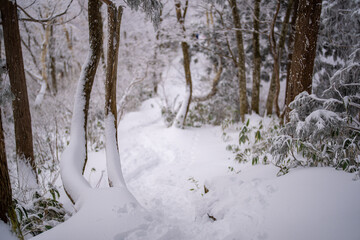 富山県中新川郡上市町と立山町にある大辻山周辺の雪が積もった風景をドローンで撮影 Drone photography of the snow-covered landscape around Mt. Otsuji in Kamiichi-cho and Tateyama-cho, Nakaniikawa-gun, Toyama Prefecture.