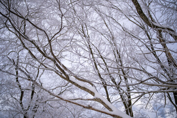 富山県中新川郡上市町と立山町にある大辻山周辺の雪が積もった風景をドローンで撮影 Drone photography of the snow-covered landscape around Mt. Otsuji in Kamiichi-cho and Tateyama-cho, Nakaniikawa-gun, Toyama Prefecture.