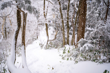富山県中新川郡上市町と立山町にある大辻山を登山する風景 A view of climbing Mt. Otsuji in Kamiichi-cho and Tateyama-cho, Nakashinagawa-gun, Toyama Prefecture.
