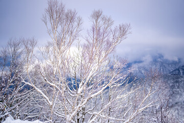 富山県中新川郡上市町と立山町にある大辻山を登山する風景 A view of climbing Mt. Otsuji in Kamiichi-cho and Tateyama-cho, Nakashinagawa-gun, Toyama Prefecture.