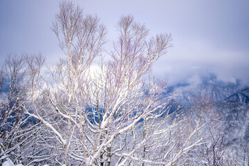 富山県中新川郡上市町と立山町にある大辻山を登山する風景 A view of climbing Mt. Otsuji in Kamiichi-cho and Tateyama-cho, Nakashinagawa-gun, Toyama Prefecture.