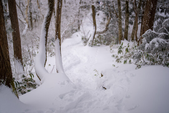 富山県中新川郡上市町と立山町にある大辻山周辺の雪が積もった風景をドローンで撮影 Drone photography of the snow-covered landscape around Mt. Otsuji in Kamiichi-cho and Tateyama-cho, Nakaniikawa-gun, Toyama Prefecture.