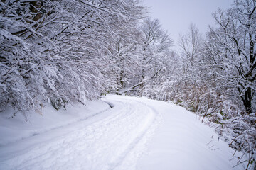富山県中新川郡上市町と立山町にある大辻山を登山する風景 A view of climbing Mt. Otsuji in Kamiichi-cho and Tateyama-cho, Nakashinagawa-gun, Toyama Prefecture.
